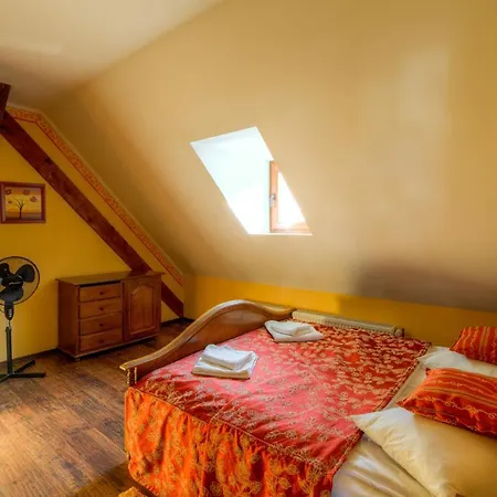 House Of Dragons Apartments Sighisoara Exterior photo
